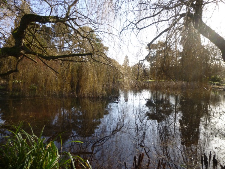 Cambridge Bot Gardens 019