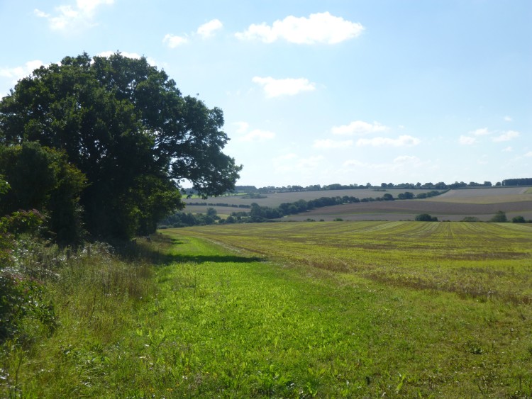 Far reaching views South, through a field gateway beside the track