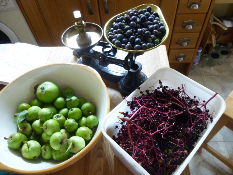 Crab apples, sloes, and elderberries