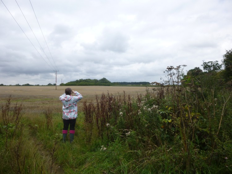 Jill watching the buzzards