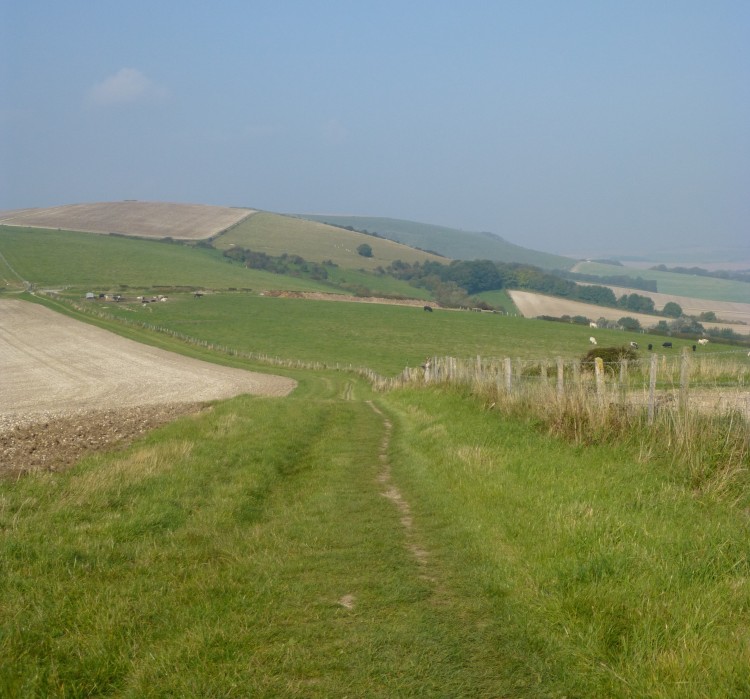 I liked the interesting diagonals in this view looking north from the downs above Rodmell