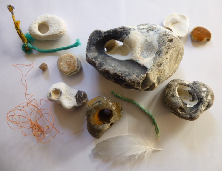 Treasure from Birling Gap