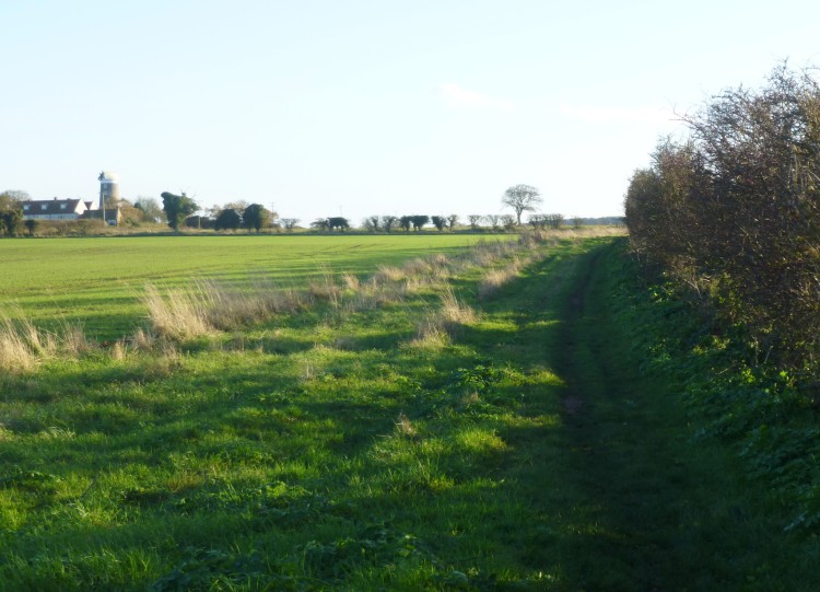 Ringstead mill can be seen on the sky line on the left - this was taken looking back over the path we had walked.