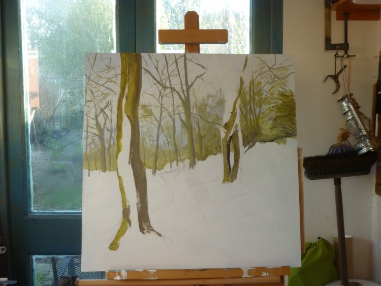 Essex Wood January progress 002