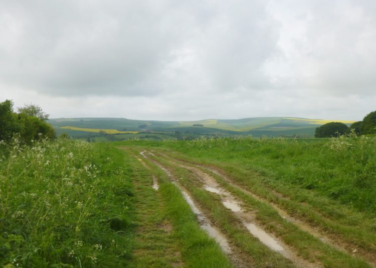 Near the start of The Ridgeway, just west of Avebury