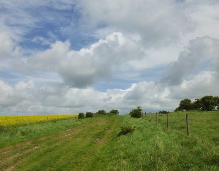 Huge majestically moving clouds in a sky full of skylarks