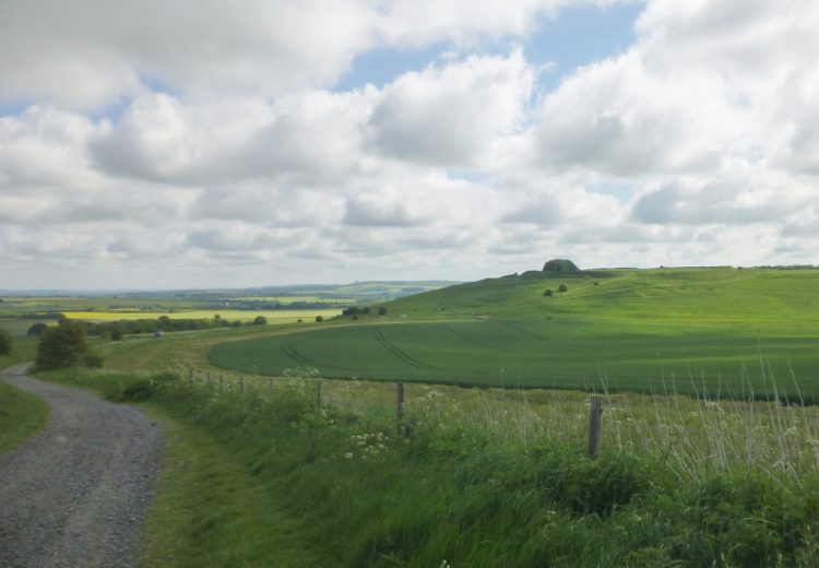 The steep slopes and deep ditches of Barbury Castle with sight!