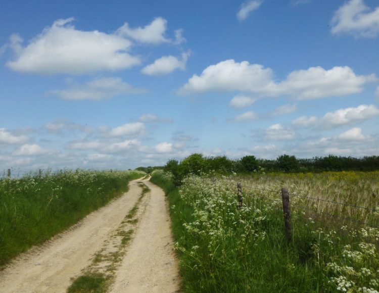 The track to Windmill Hill . . .