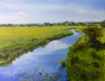 Cymbeline Meadow - Sally Pudney