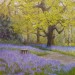 Essex Wood: April - Sally Pudney