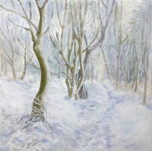Footpath through the snowy woods