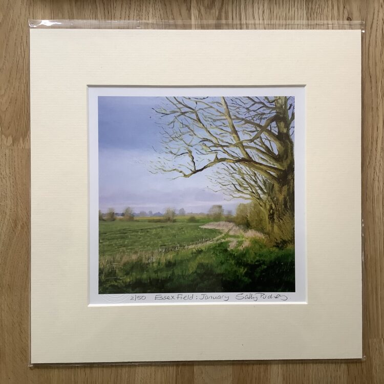 Essex Field January limited edition mini-print