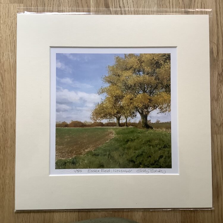 Essex Field November limited edition mini-print