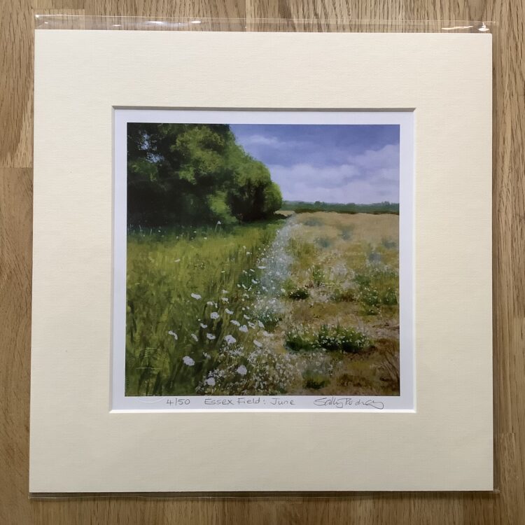 Essex Field June limited edition mini-print