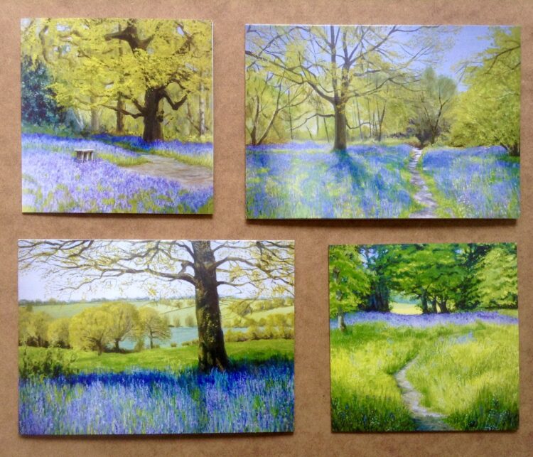 Bluebell Woods Greetings Card Pack