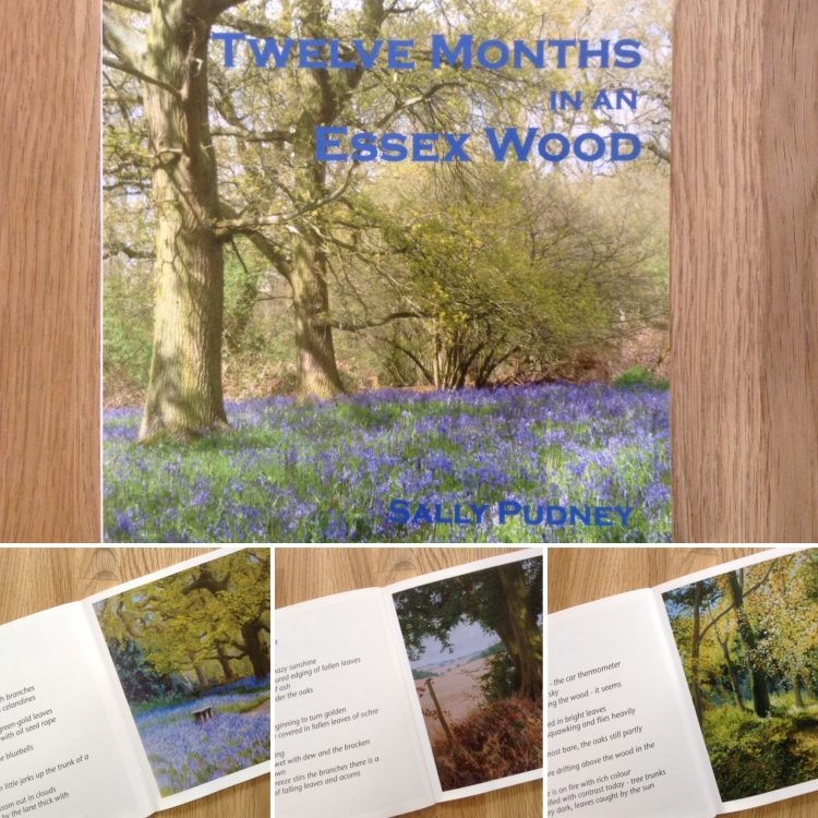 ‘Twelve Months in an Essex Wood’ Book