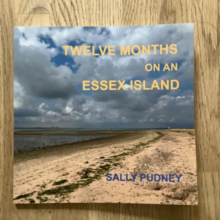 Twelve Months on an Essex Island book