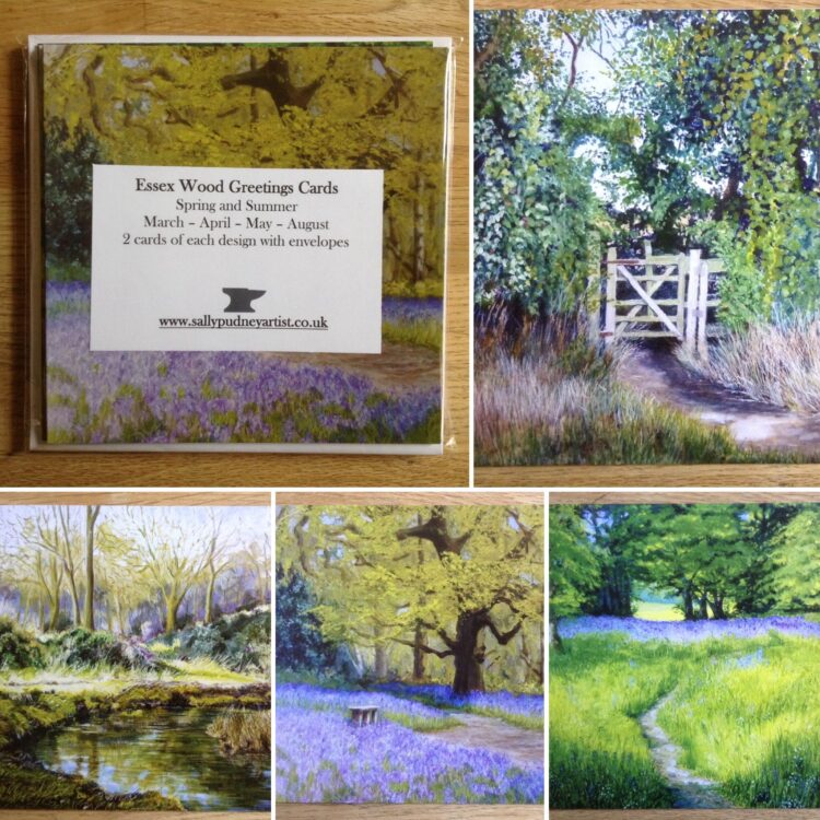 Essex Wood Spring and Summer Greetings Card Pack