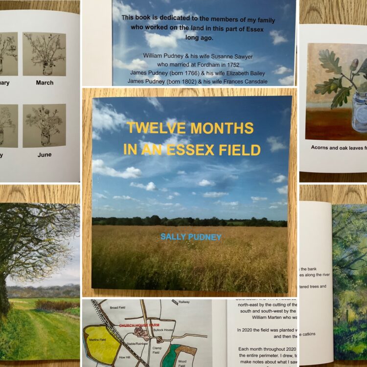 Twelve Months in an Essex Field Book