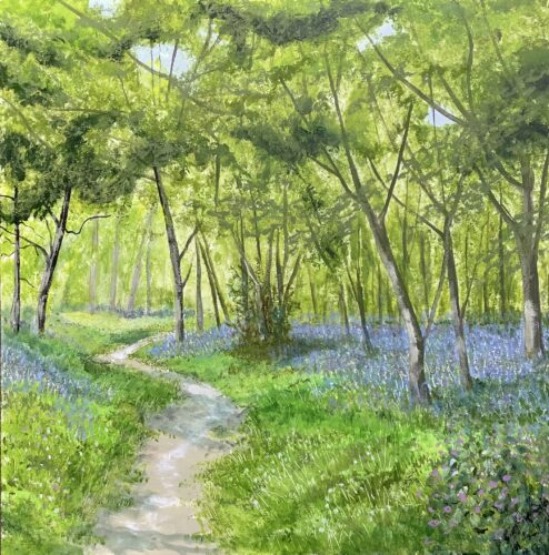 Footpath through the Bluebell Wood