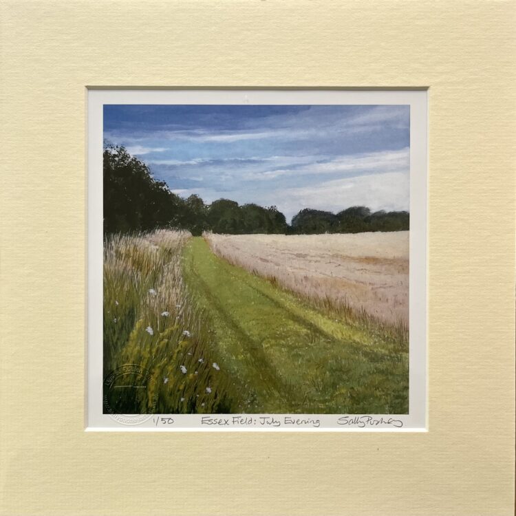 Essex Field July Evening Limited Edition Mini-print