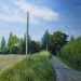 Landlines 2: telegraph poles - Sally Pudney