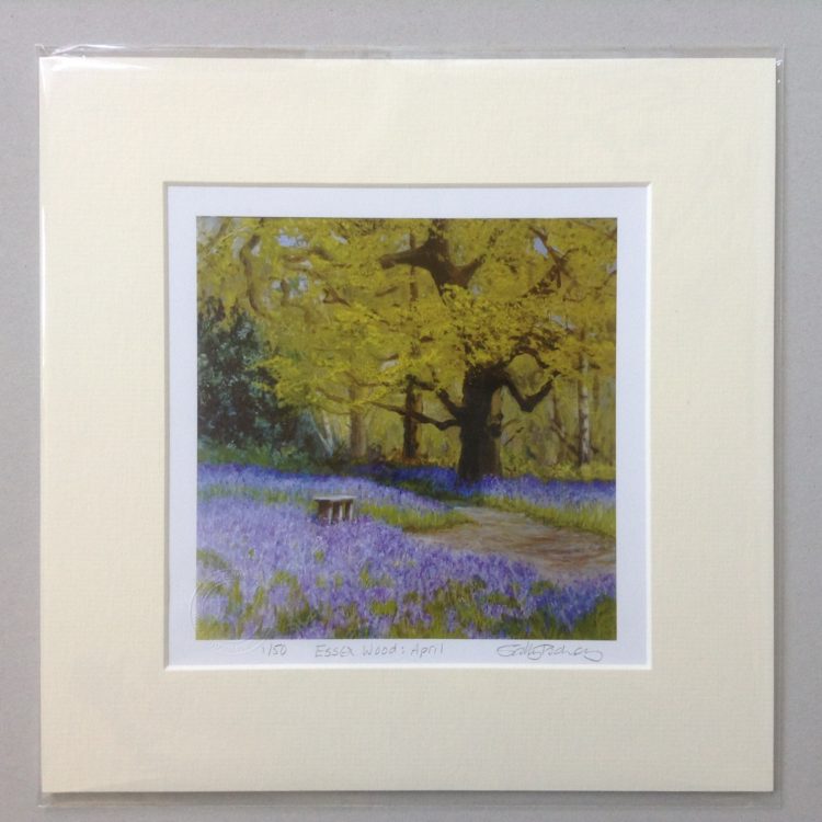 ‘Essex Wood: April’, limited edition mini-print