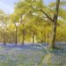 Woodland Walk: Spring - Sally Pudney